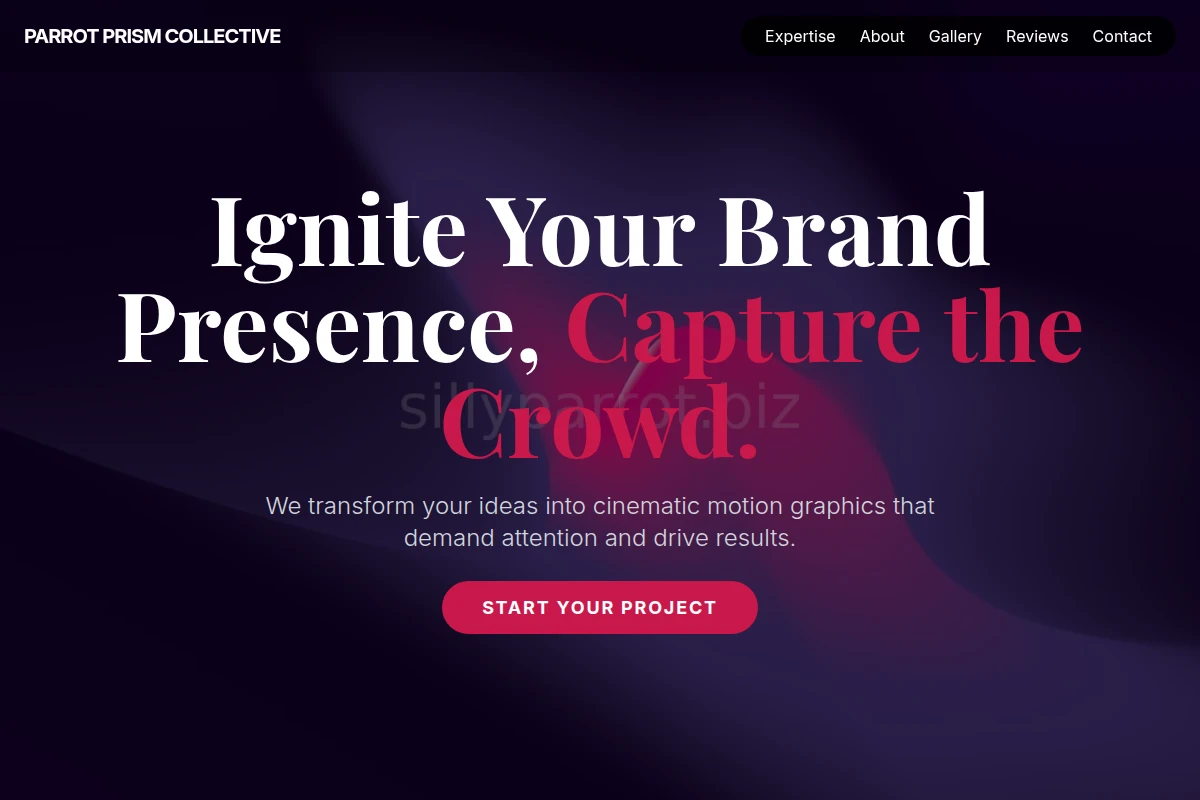 Groove Motion Graphics
