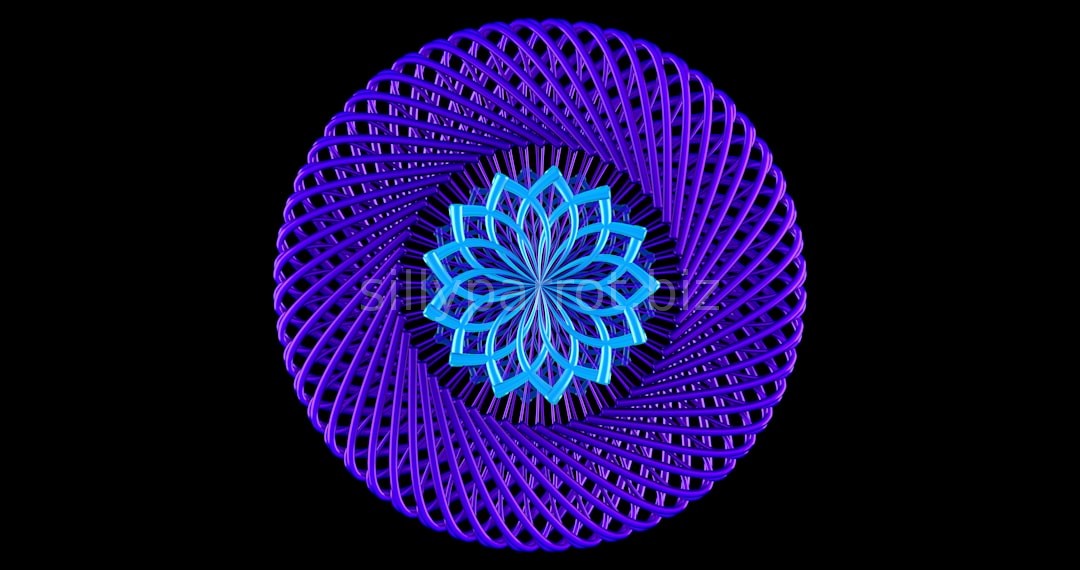 Reel 1